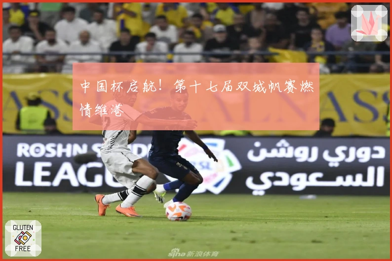 中国杯启航！第十七届双城帆赛燃情维港