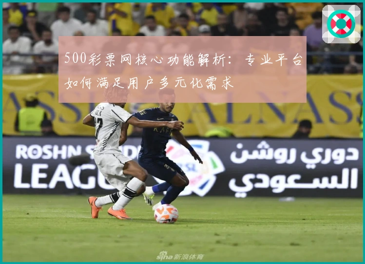 500彩票网核心功能解析：专业平台如何满足用户多元化需求