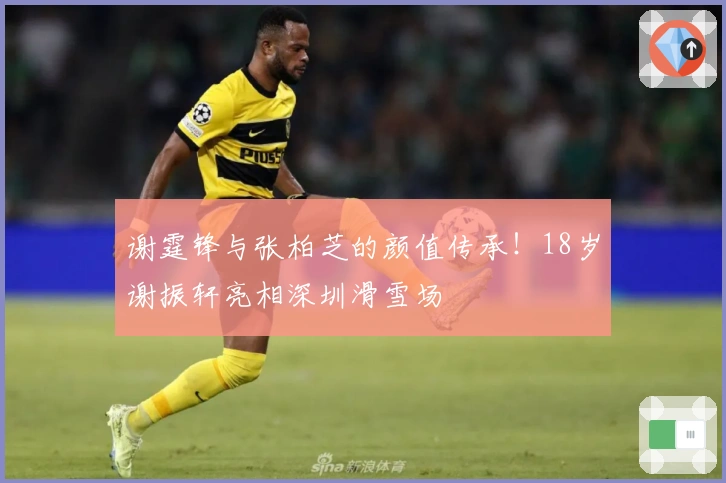 谢霆锋与张柏芝的颜值传承！18岁谢振轩亮相深圳滑雪场