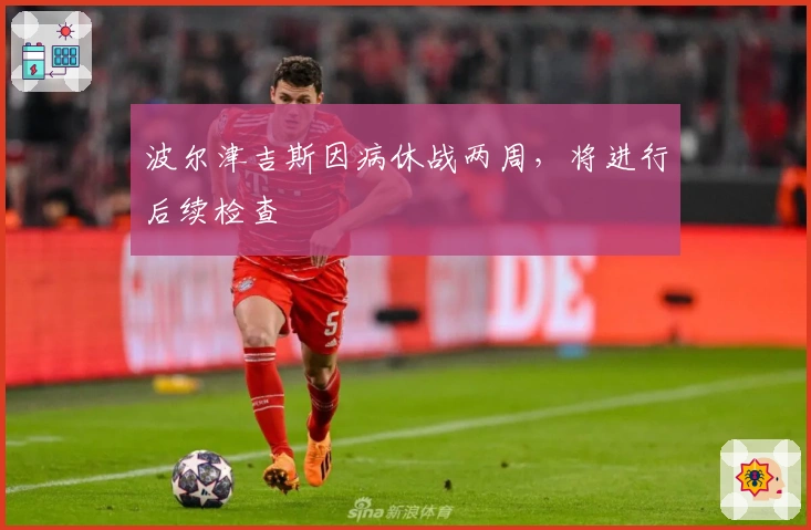 波尔津吉斯因病休战两周，将进行后续检查