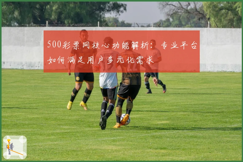500彩票网核心功能解析：专业平台如何满足用户多元化需求