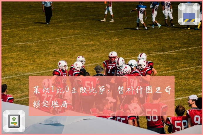 莱切1比0击败比萨，替补什图里奇锁定胜局