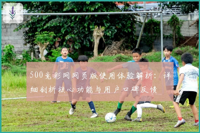 500竞彩网网页版使用体验解析：详细剖析核心功能与用户口碑反馈